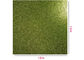 Çin 300g Yeşil Glitter Kağıt, Scrapbooking Çift Taraflı Glitter Kartuş ihracatçı